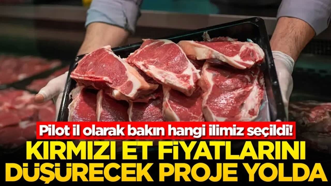 Kırmızı et fiyatlarını düşürecek proje yolda! Pilot il olarak bakın hangi ilimiz seçildi