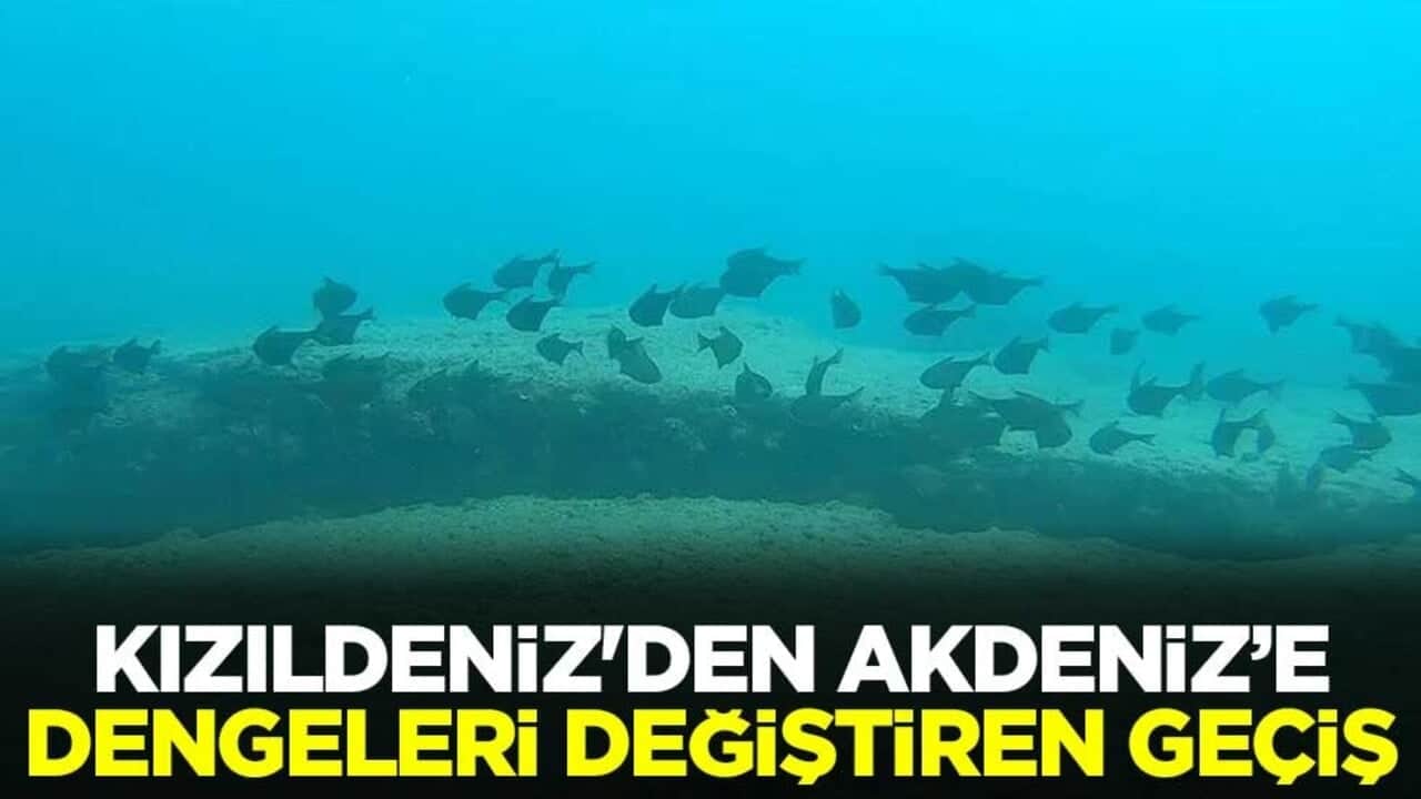 Kızıldeniz'den Akdeniz’e dengeleri değiştiren geçiş