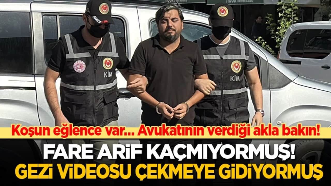 Koşun eğlence var… Avukatının verdiği akla bakın: Fare Arif kaçmıyormuş! Gezi videosu çekmeye gidiyormuş