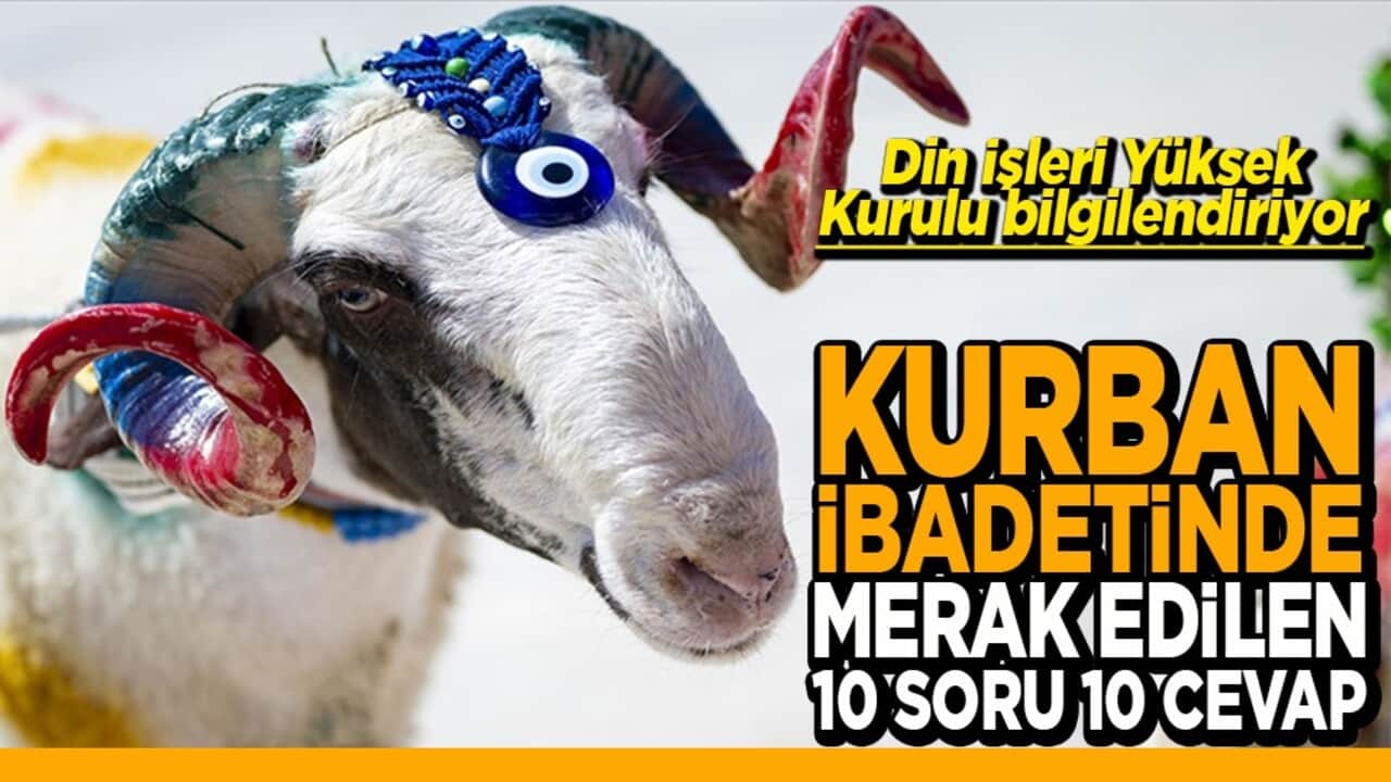Kurban ibadetinde merak edilen 10 soru 10 cevap
