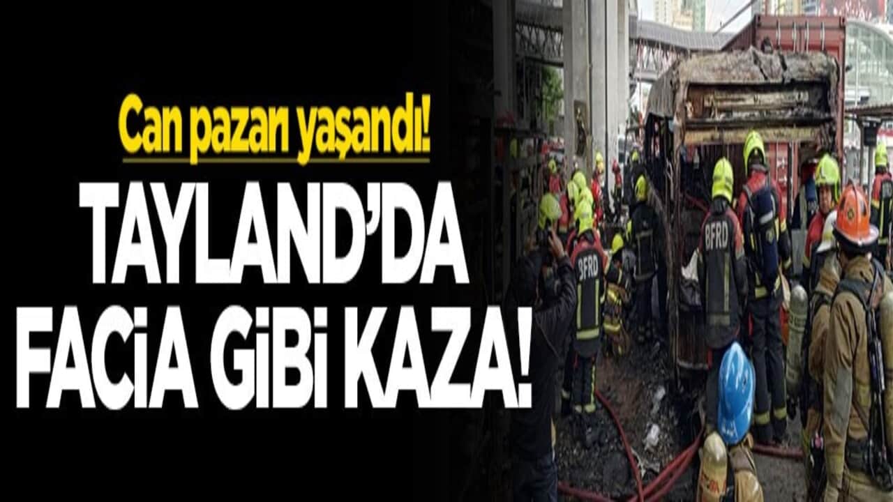 Malatya’da aç kalan kurtlar şehre indi