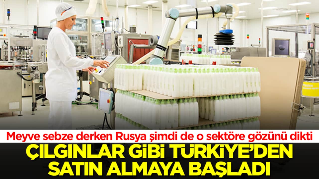 Meyve sebze derken Rusya şimdi de o sektöre gözünü dikti: Çılgınlar gibi Türkiye'den almaya başladı