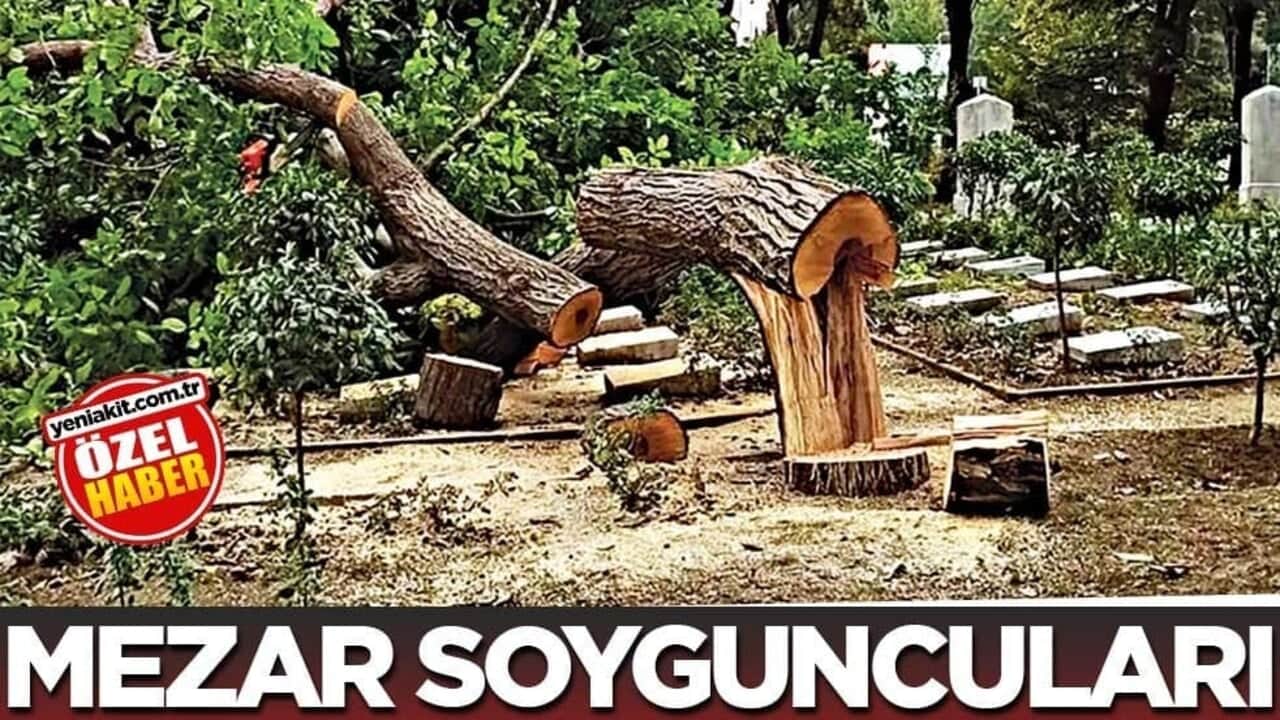 Mezar soyguncuları