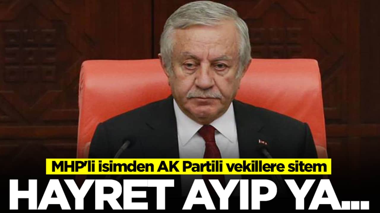 MHP'li isimden AK Partili vekillere sitem: Hayret, ayıp ya...