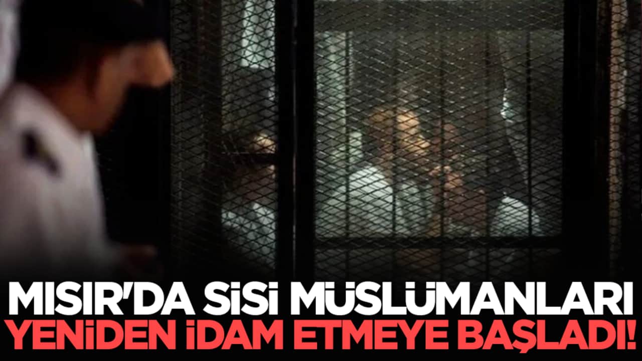 Mısır'da Sisi Müslümanları yeniden idam etmeye başladı!