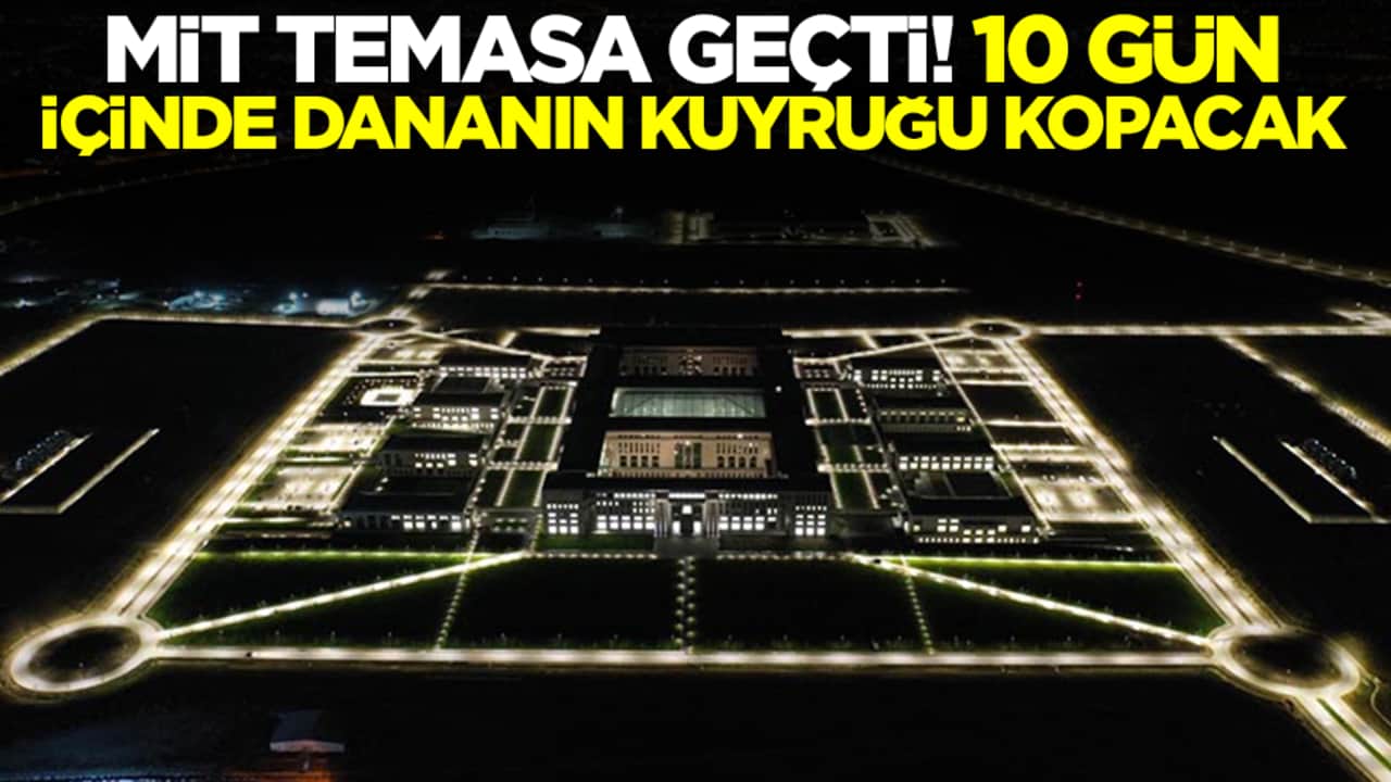 MİT temasa geçti: 10 gün içinde dananın kuyruğu kopacak