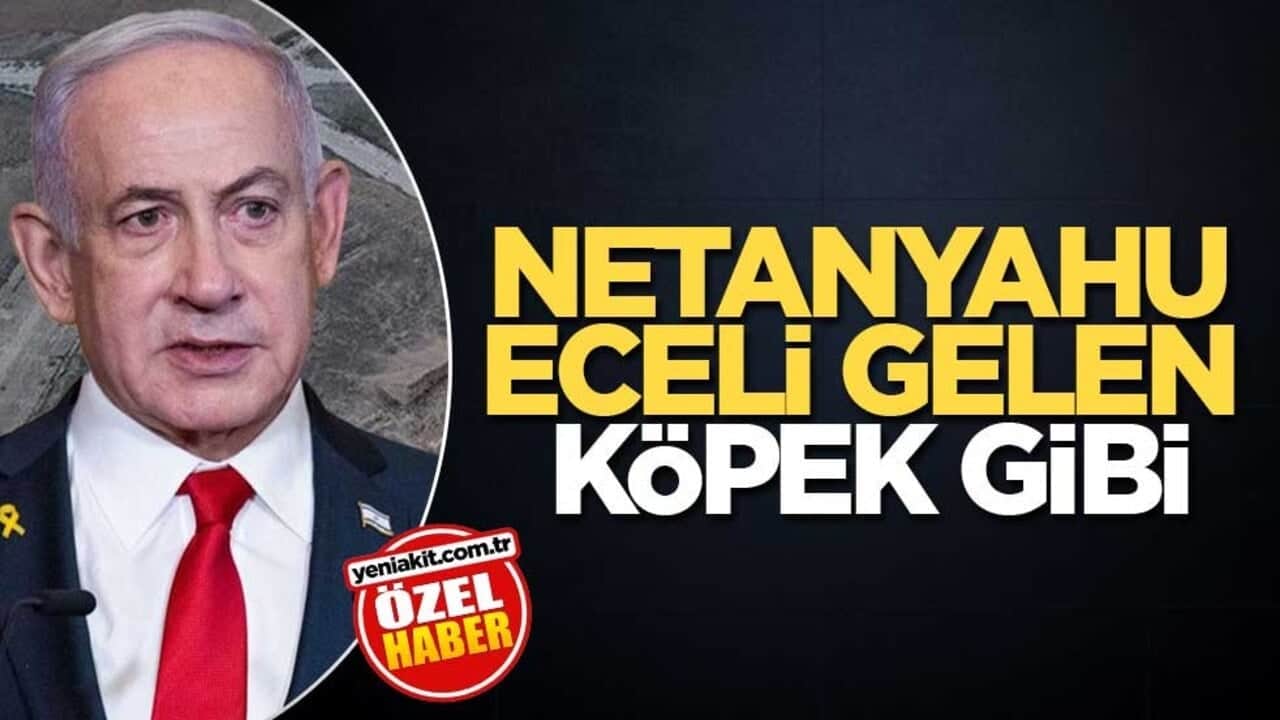 Netanyahu eceli gelen köpek gibi