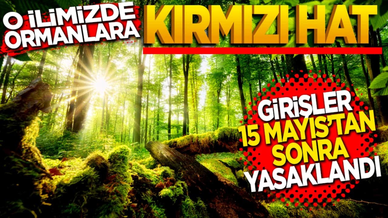 O ilimizde ormanlara 'Kırmızı Hat': Girişler 15 Mayıs'tan itibaren yasaklandı!