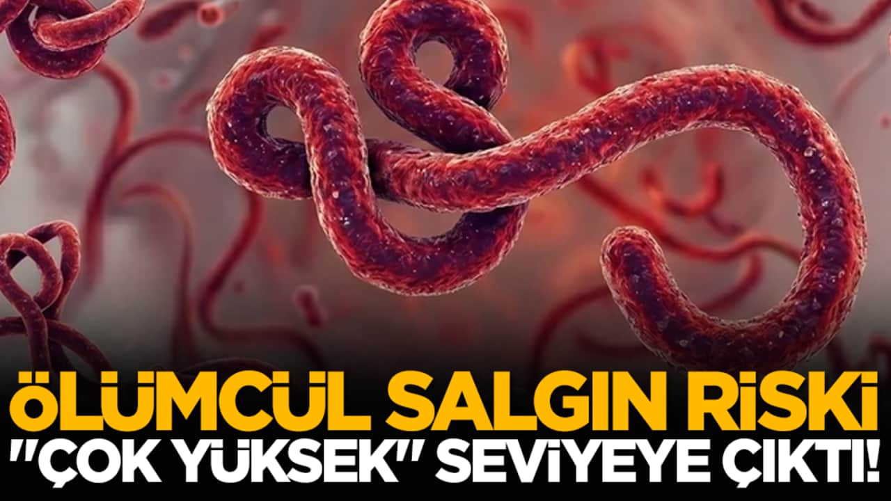 Ölümcül salgın riski "çok yüksek" seviyeye çıktı!