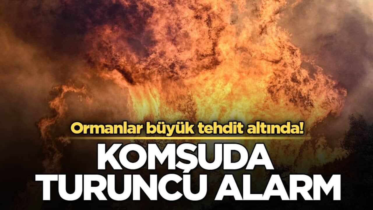 Ormanlar büyük tehdit altında! Komşuda turuncu alarm