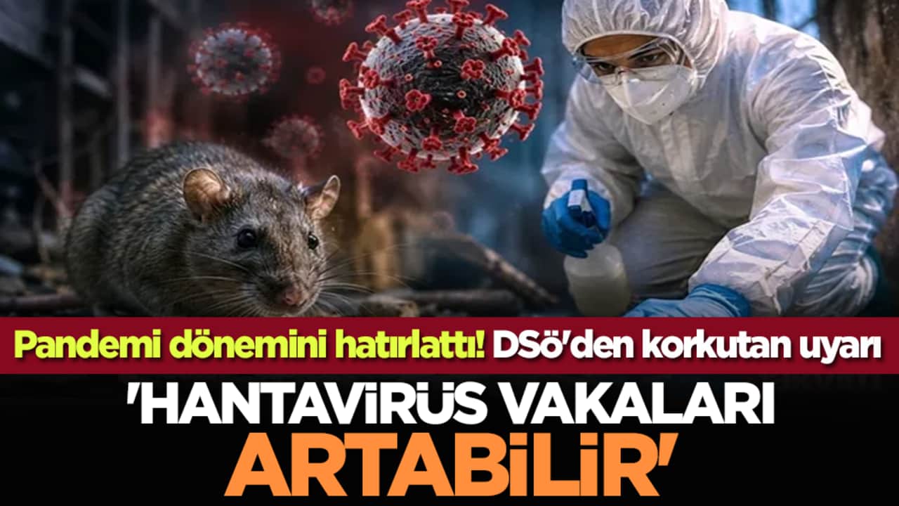 Pandemi dönemini hatırlattı! DSÖ'den korkutan uyarı: 'Hantavirüs vakaları artabilir'