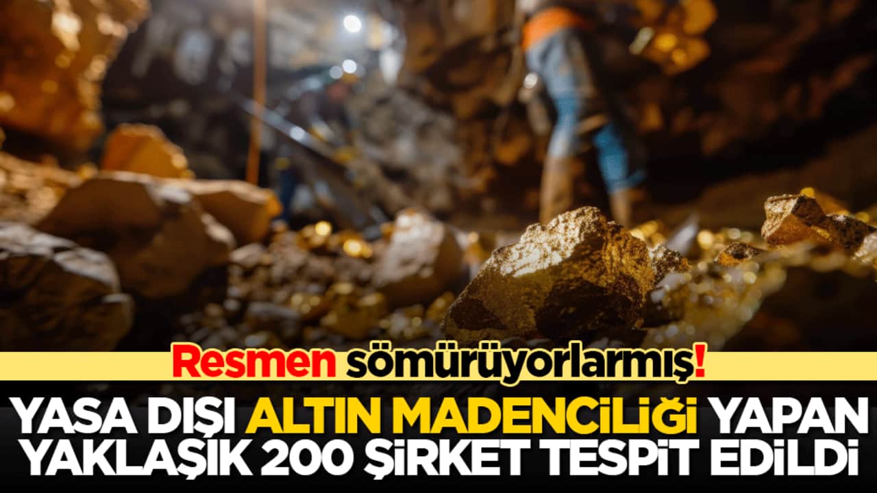 Resmen sömürüyorlarmış! Yasa dışı altın madenciliği yapan yaklaşık 200 şirket tespit edildi