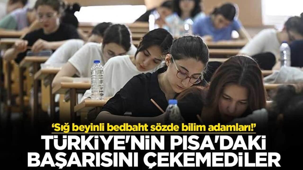 Sığ beyinli bedbaht sözde bilim adamları! Türkiye'nin PISA'daki başarısını çekemediler