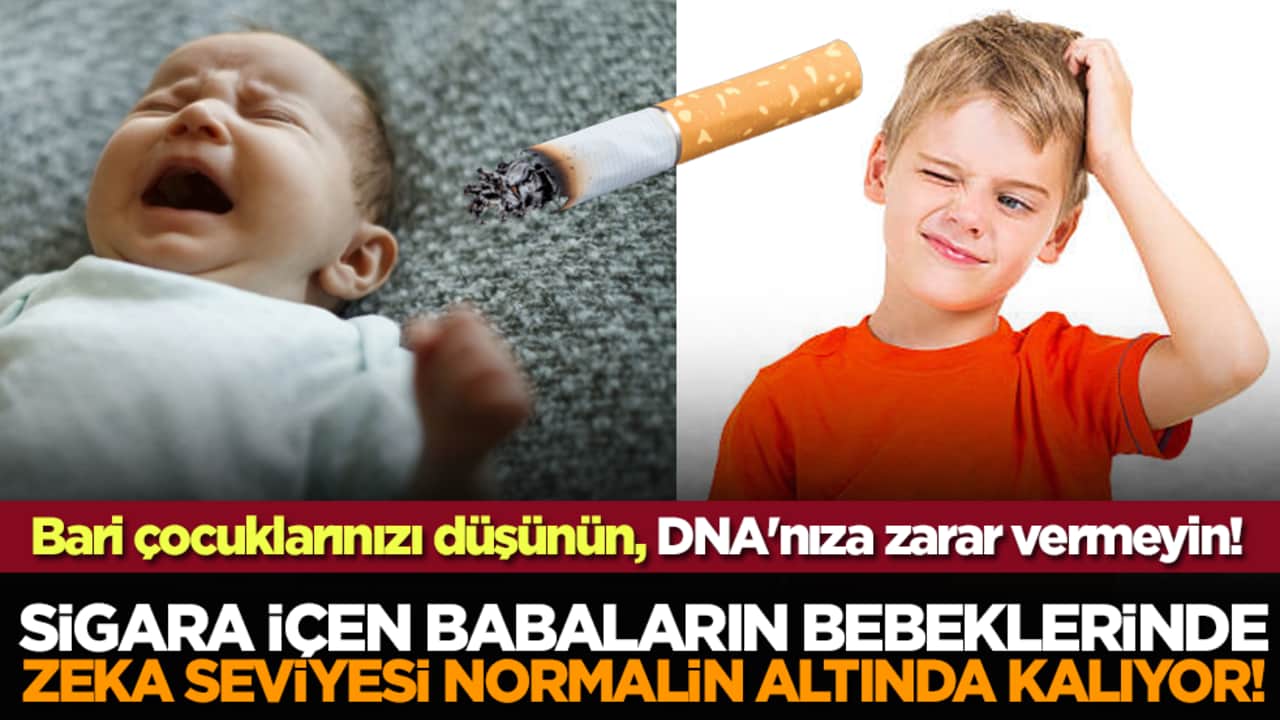 Sigara içen babaların bebeklerinde zeka seviyesi normalin altında kalıyor! Bari çocuklarınızı düşünü DNA'nıza zarar vermeyin!
