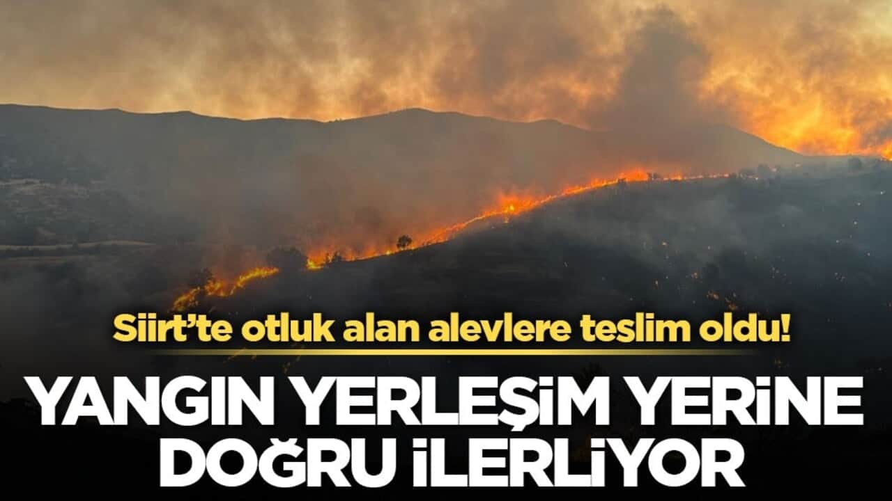 Siirt’te otluk alan alevlere teslim oldu! Yangın yerleşim yerine doğru ilerliyor