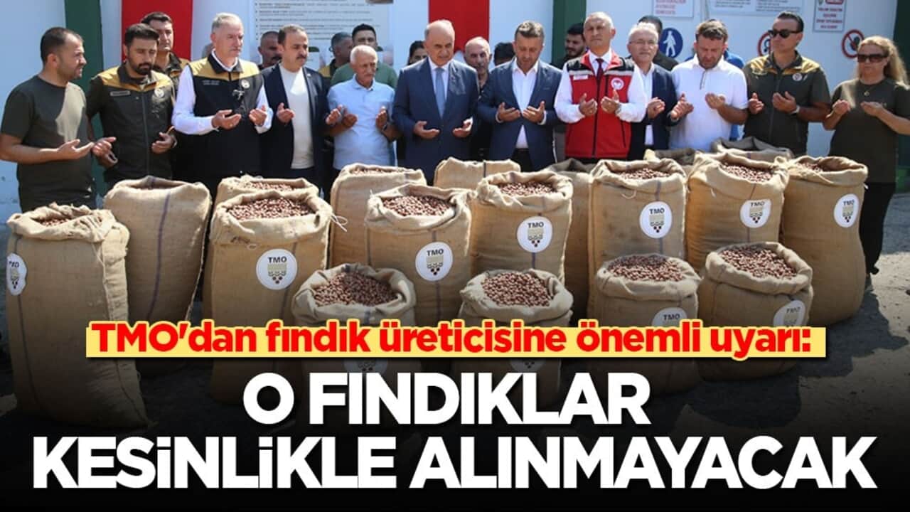 TMO'dan fındık üreticisine önemli uyarı: O fındıklar kesinlikle alınmayacak