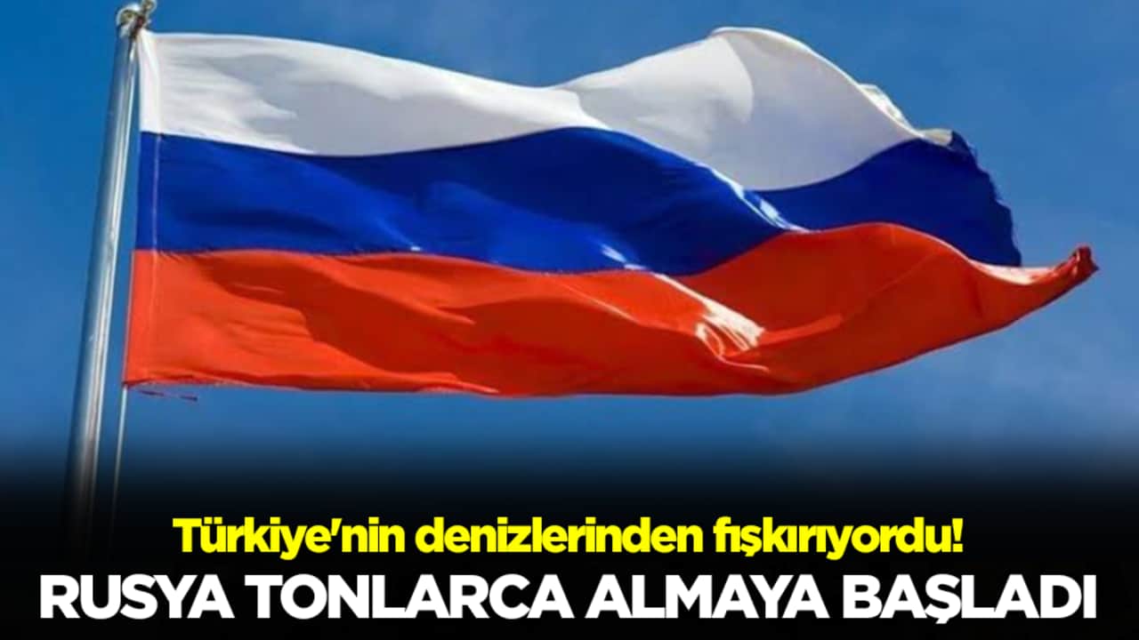 Türkiye'nin denizlerinden fışkırıyordu: Rusya tonlarca almaya başladı