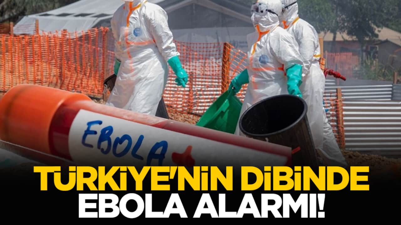Türkiye'nin dibinde Ebola alarmı!