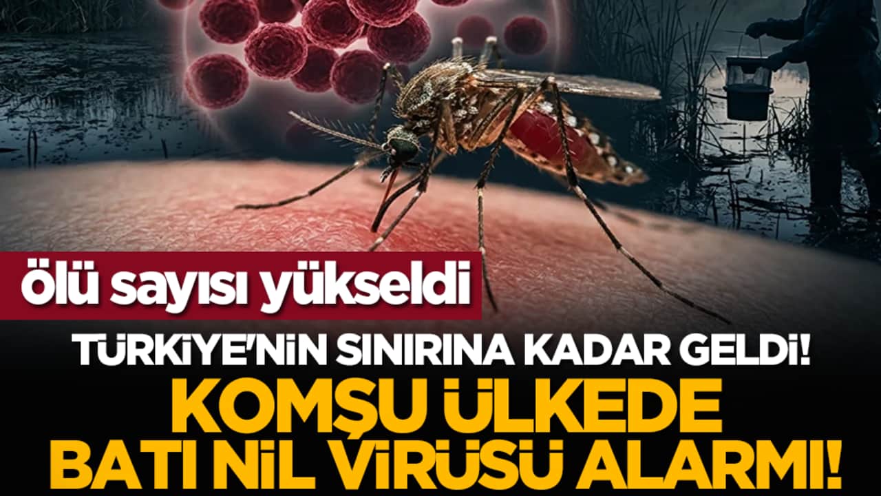 Türkiye'nin sınırına kadar geldi! Komşu ülkede Batı Nil virüsü alarmı! Ölü sayısı yükseldi