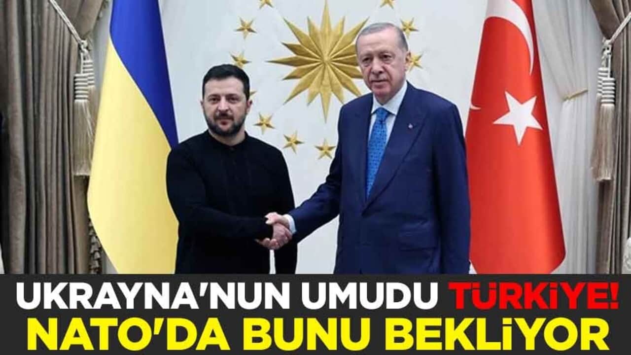 Ukrayna'nun umudu Türkiye! NATO'da bunu bekliyor