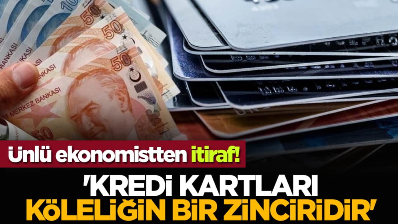 Ünlü ekonomistten itiraf! 'Kredi Kartları Köleliğin Bir Zinciridir'