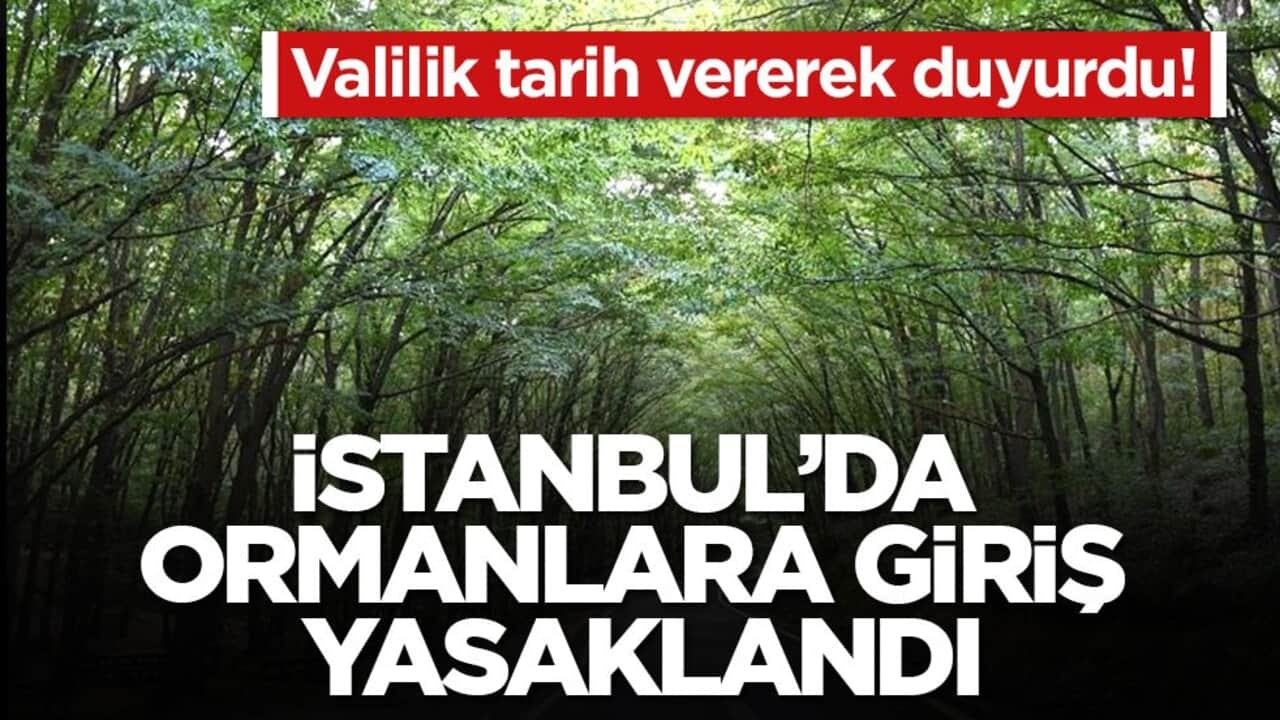Valilik tarih vererek duyurdu! İstanbul’da ormanlara giriş yasaklandı