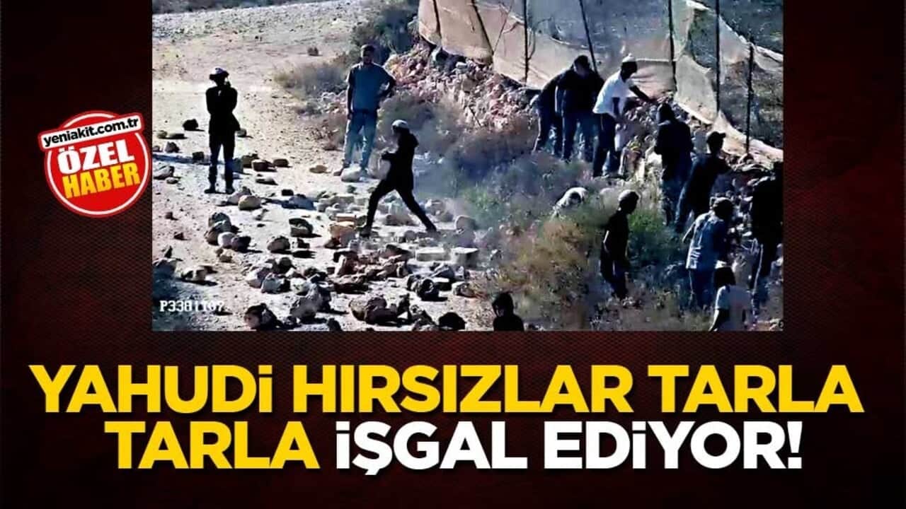 Yahudi hırsızlar tarla tarla işgal ediyor!