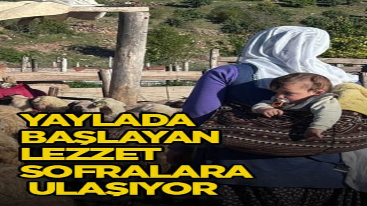 Yaylada başlayan lezzet sofralara ulaşıyor
