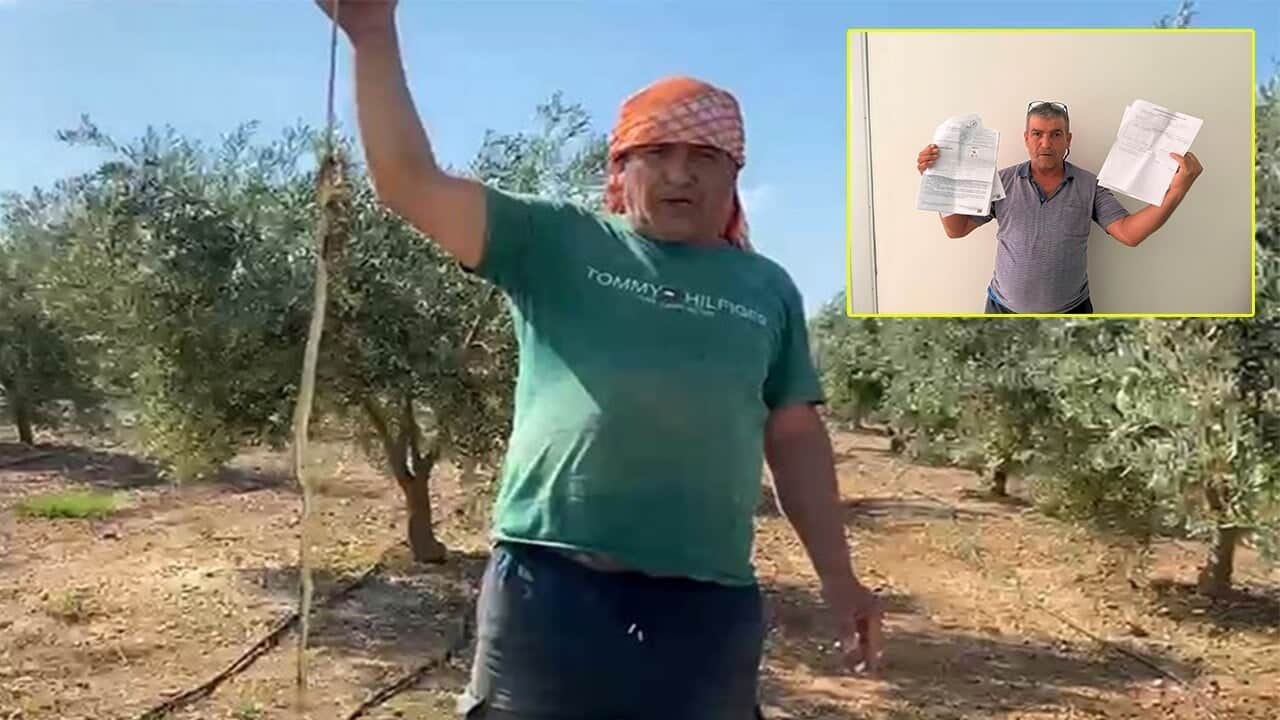 'Yılanı öldürdüm' videosu paylaştı 22 bin TL ceza yedi