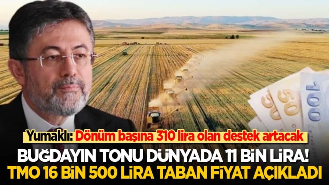 Yumaklı: Dönüm başına 310 lira olan destek artacak! Buğdayın tonu dünyada 11 bin lira! Biz 16 bin 500 lira taban fiyat açıkladık