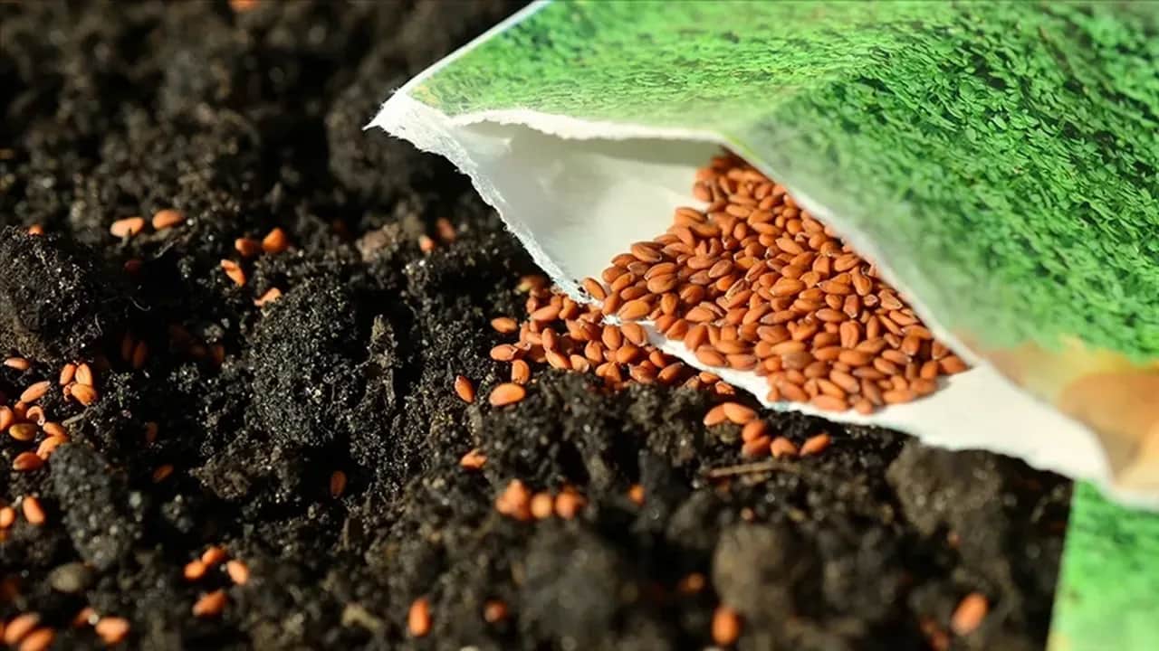 4 tohum şirketine rekor ceza!