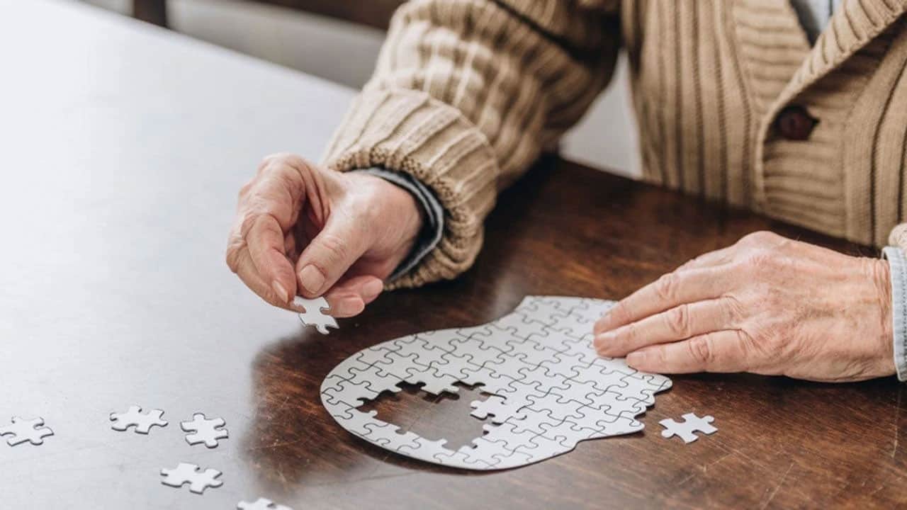 74 yaşındaki alzheimer hastası 42 gündür bulunamıyor