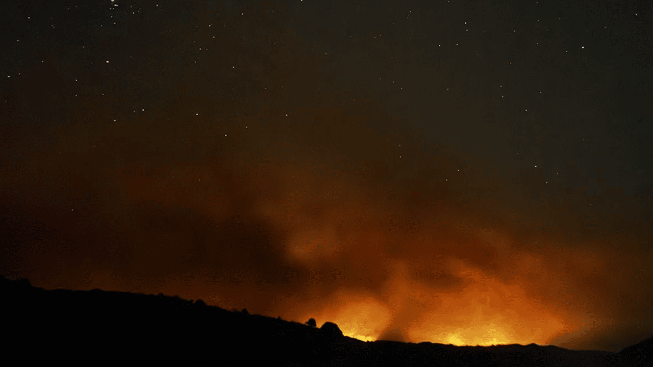 Adana'da çıkan orman yangınına müdahale ediliyor