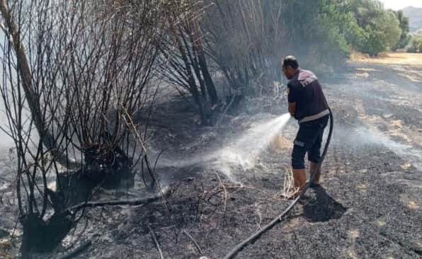 Afyonkarahisar’da ot yangını! Ekipler büyümeden müdahale etti
