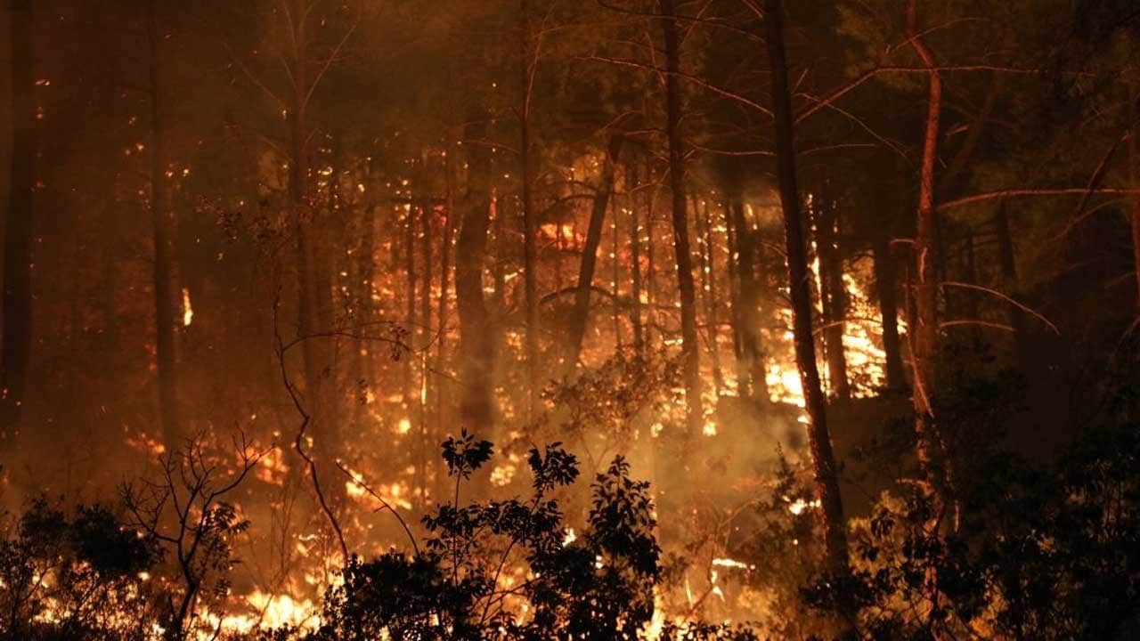 Alanya’da alevler üç mahalleye yayıldı! 45 konut tahliye edildi