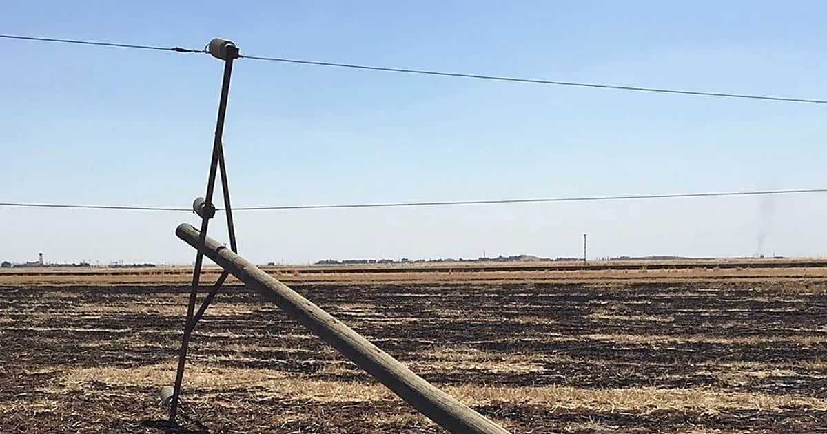 Anız yangınları Dicle Elektrik'e son iki yılda yaklaşık 5 milyon liraya mal oldu