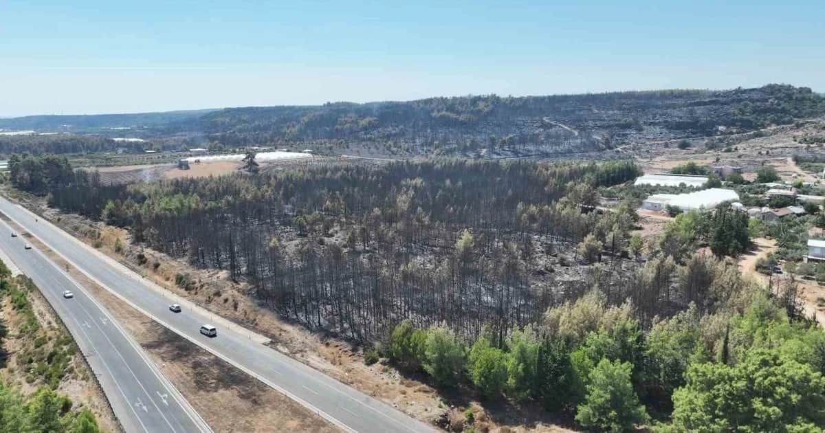 Antalya Büyükşehir ekipleri Aksu ve Serik'te yangın hasarını yerinde tespit ediyor