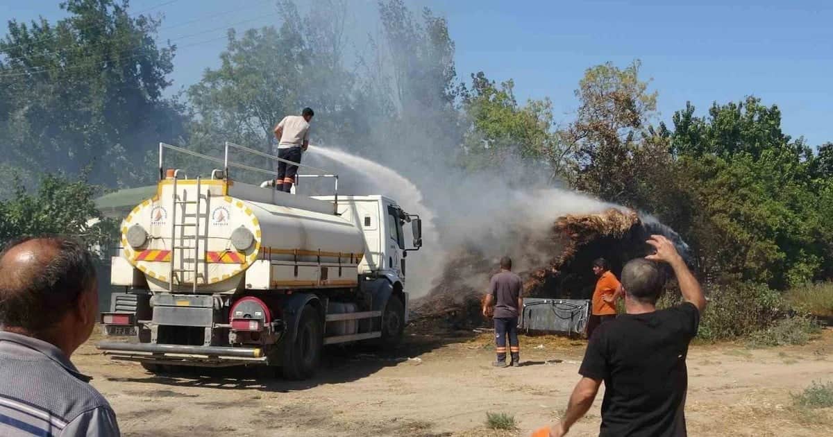 Antalya Muratpaşa'da 6 noktada çıkan sazlık yangını seraları küle çevirdi