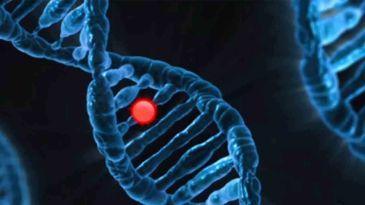 Antibiyotiklere yeni rakip: DNA’dan üretilen virüsler