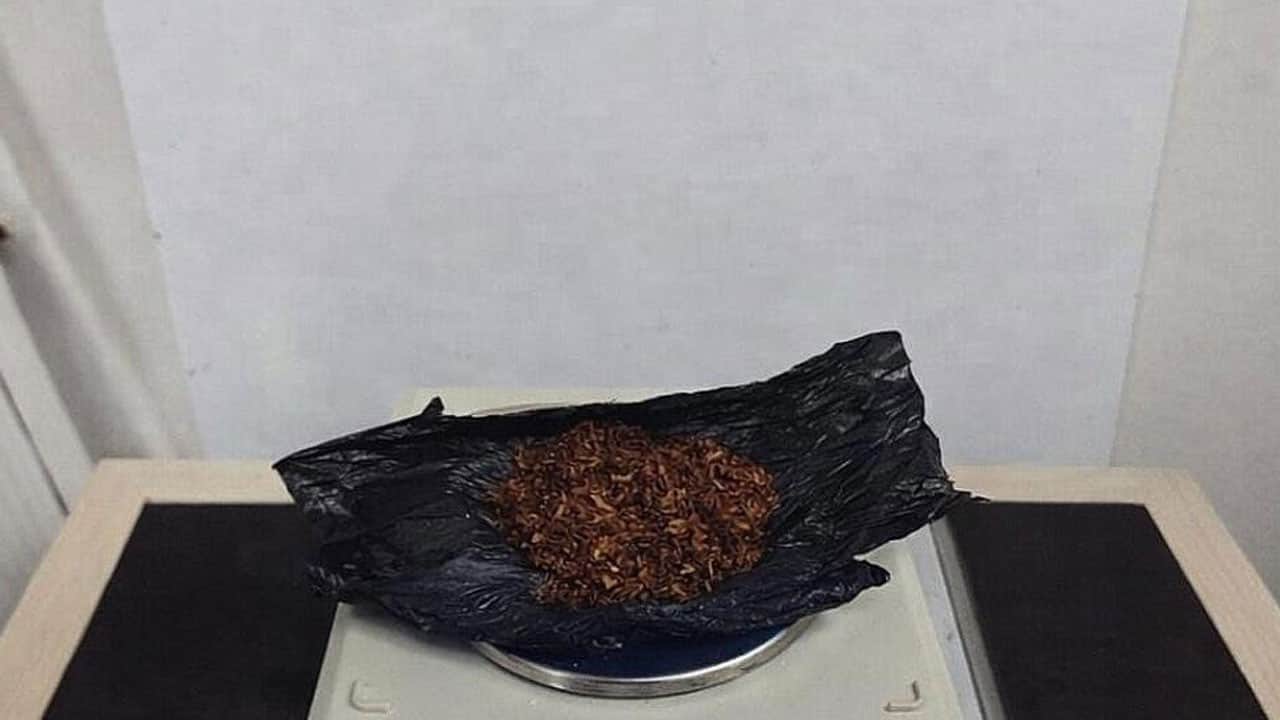 Araçtan çıkanlara bakın