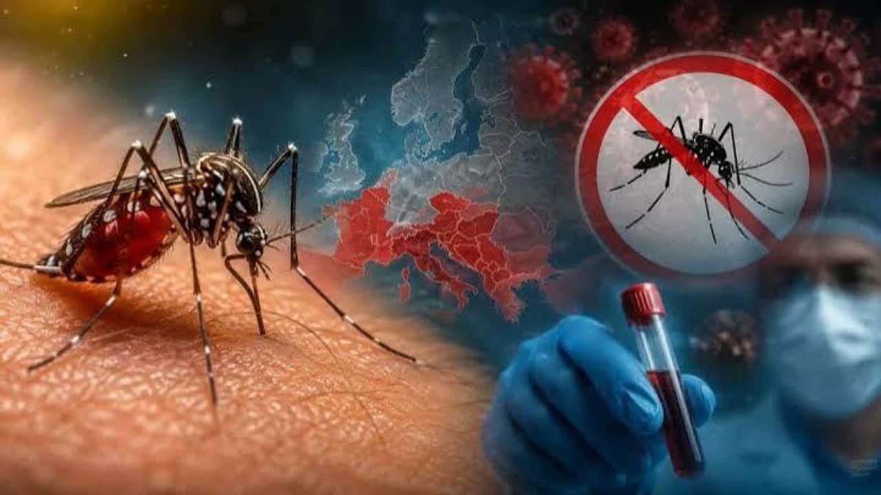Avrupa'da bu yıl 12 ülkede 625 Batı Nil virüsü vakası tespit edildi