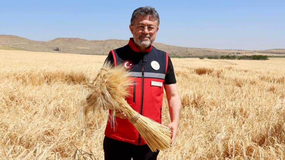 Bakan Yumaklı müjdeyi verdi: Bu yıl buğday ve arpa üretiminde rekor bekliyoruz