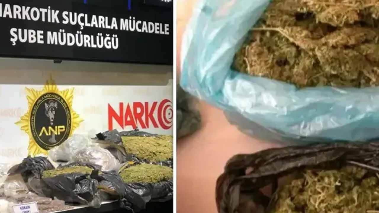 Batman’da şehit Emre Albayrak’ın adı yaşatıldı! Uyuşturucu darbesiyle zehir akışı kesildi!