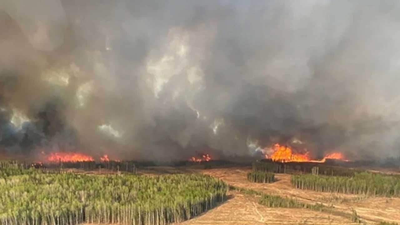 Belçika'da büyük kabus sürüyor
