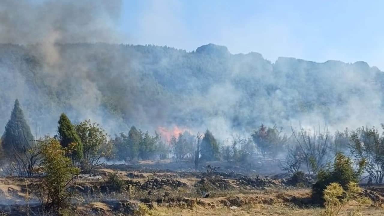 Bilecik'teki orman yangını hızlı müdahale ile büyümeden söndürüldü