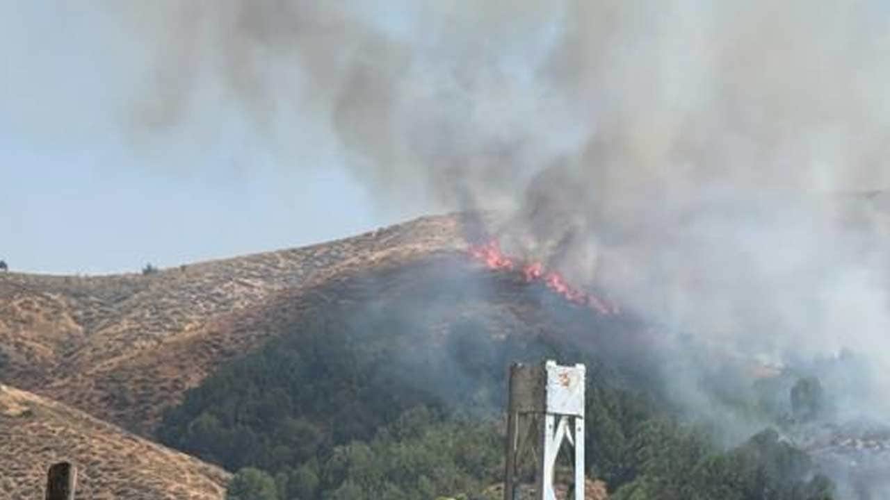 Bingöl'de örtü yangını