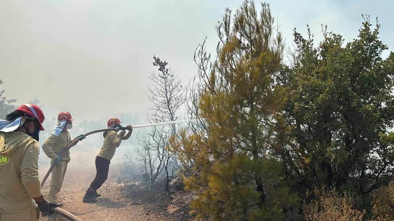 Bir orman yangını daha! Havadan ve karadan müdahale ediliyor