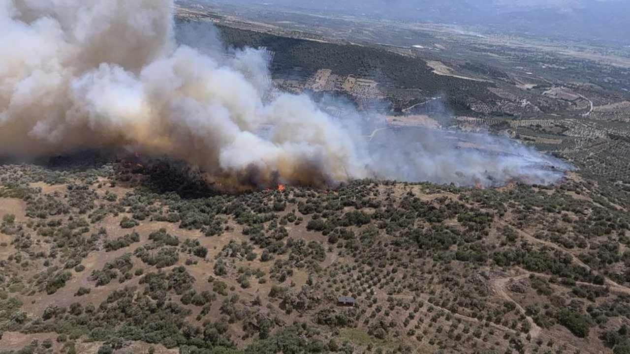 Bozdoğan'da korkutan yangın
