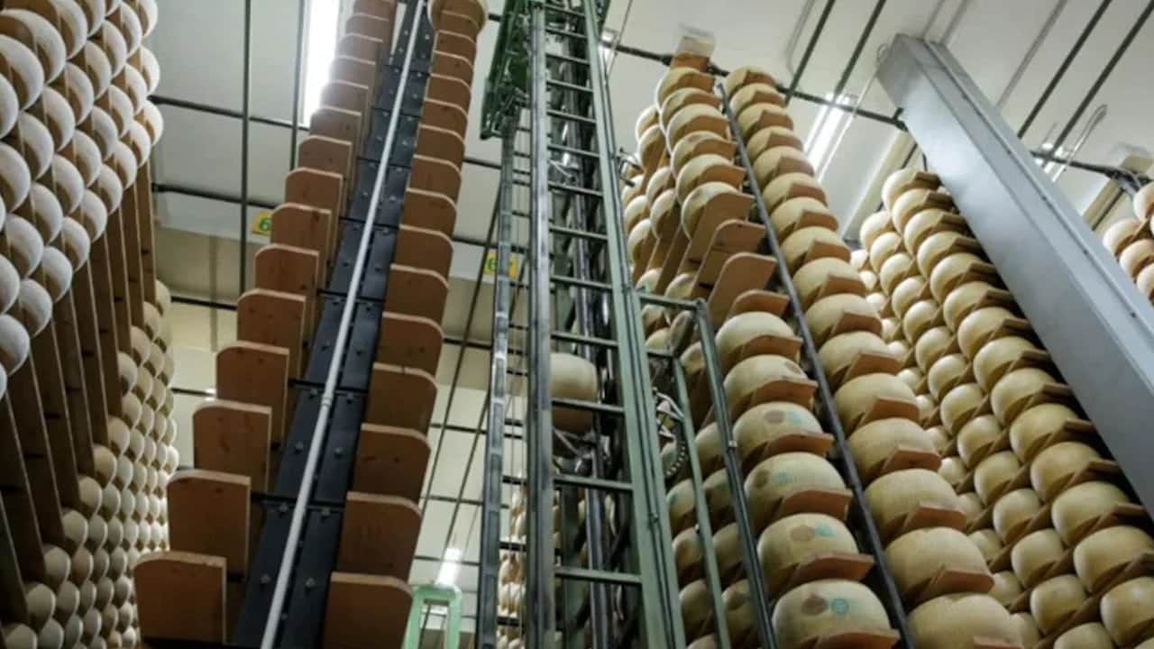 Bu bankanın dünyada eşi benzeri yok: Teminat olarak sadece peynir alıyor