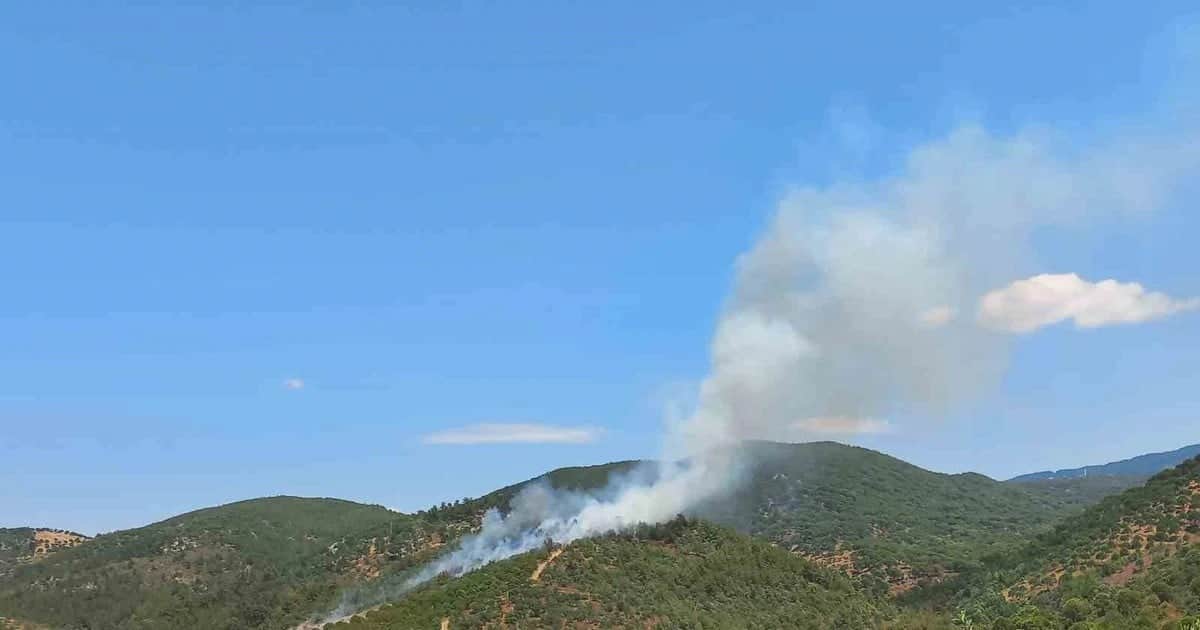 Burhaniye'de aynı ormanlık alanda ikinci kez çıkan yangın büyümeden söndürüldü